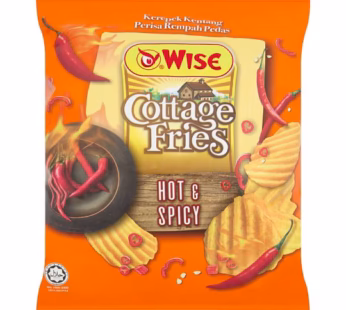 WISE HOT&SPICY 60G